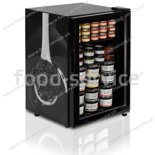 Холодильна шафа для ікри Tefcold UR90G-SUB ZERO